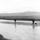 Image for article titled These Dogs are Honorary Geologists for Their Early Exploration of Alaska